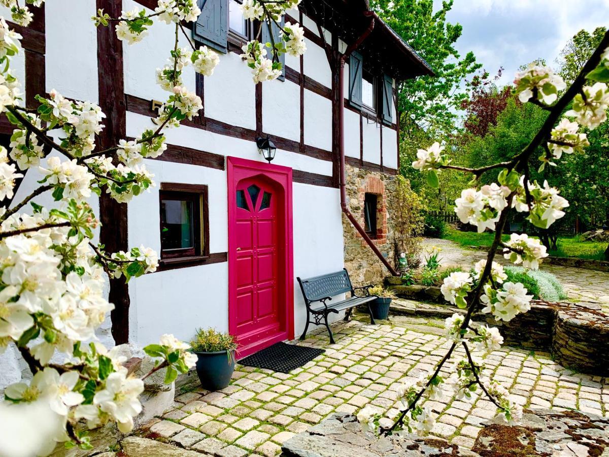 Za Rozowymi Drzwiami Villa Jelenia Gora Ngoại thất bức ảnh